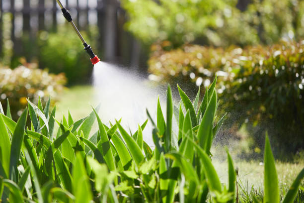 24/7 Emergency Mosquito Control experts in Volga, SD